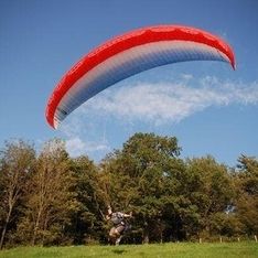 Ein Paragleiter bei der Landung auf einer Wiese mit Bäumen im Hintergrund